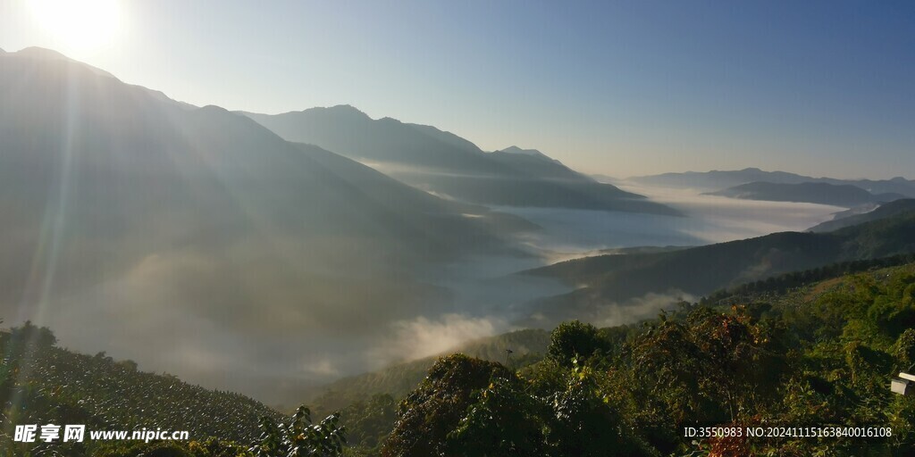 云南 茶山 日出 自然