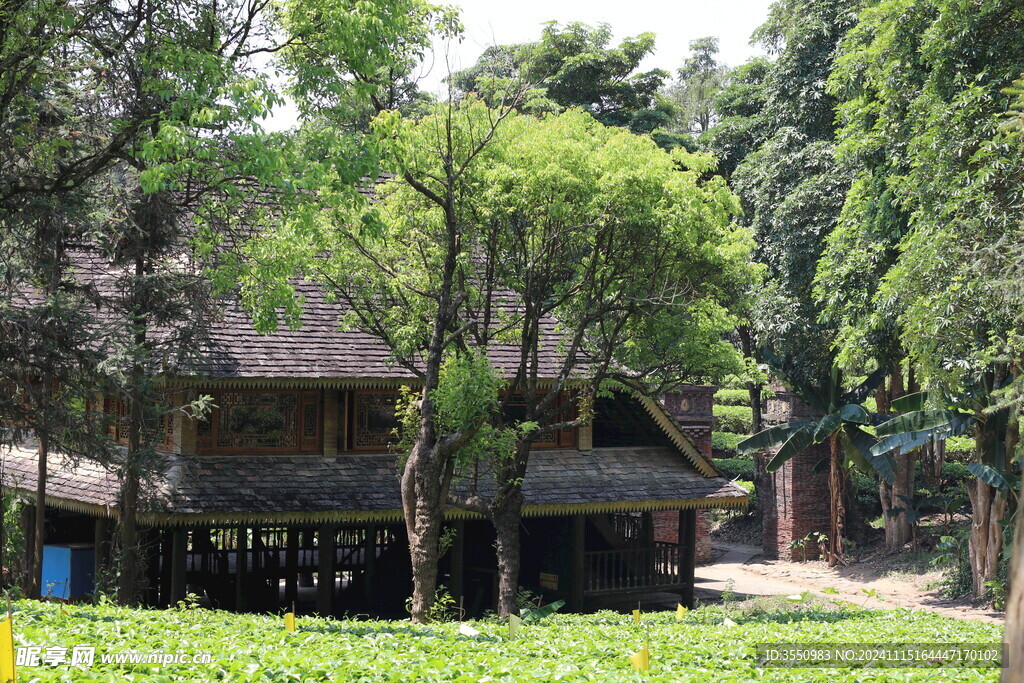 自然 小屋 风景