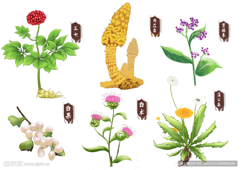  中药彩绘
