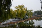 公园风景 