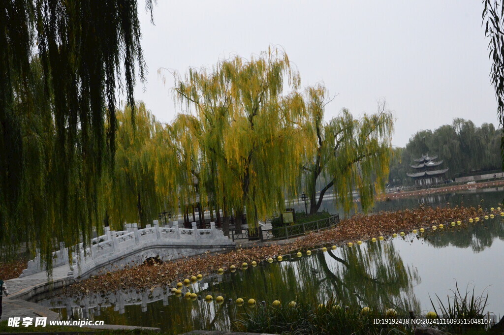 公园风景 