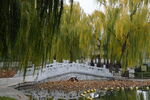 公园风景  