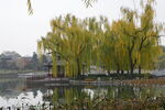 公园风景  