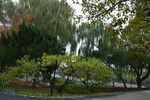 公园风景 