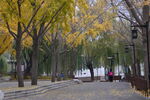 公园风景 