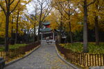 公园风景 