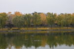 公园风景 