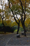 公园风景 