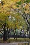 公园风景 