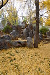 公园风景  