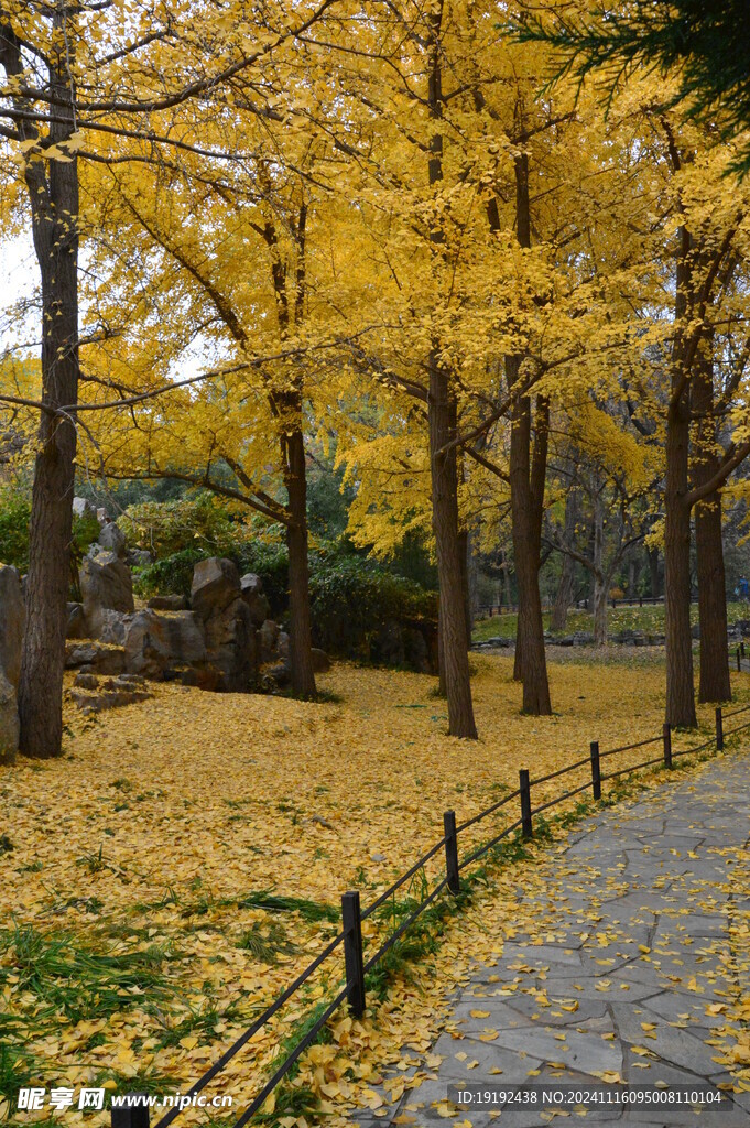 公园风景  