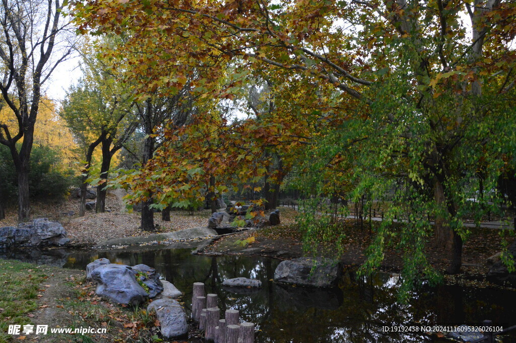 陶然亭风景 