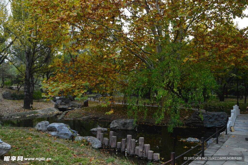 公园风景  