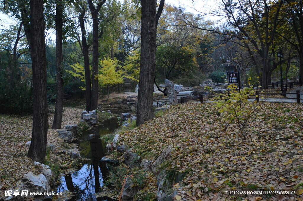 公园风景 