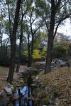 公园风景  