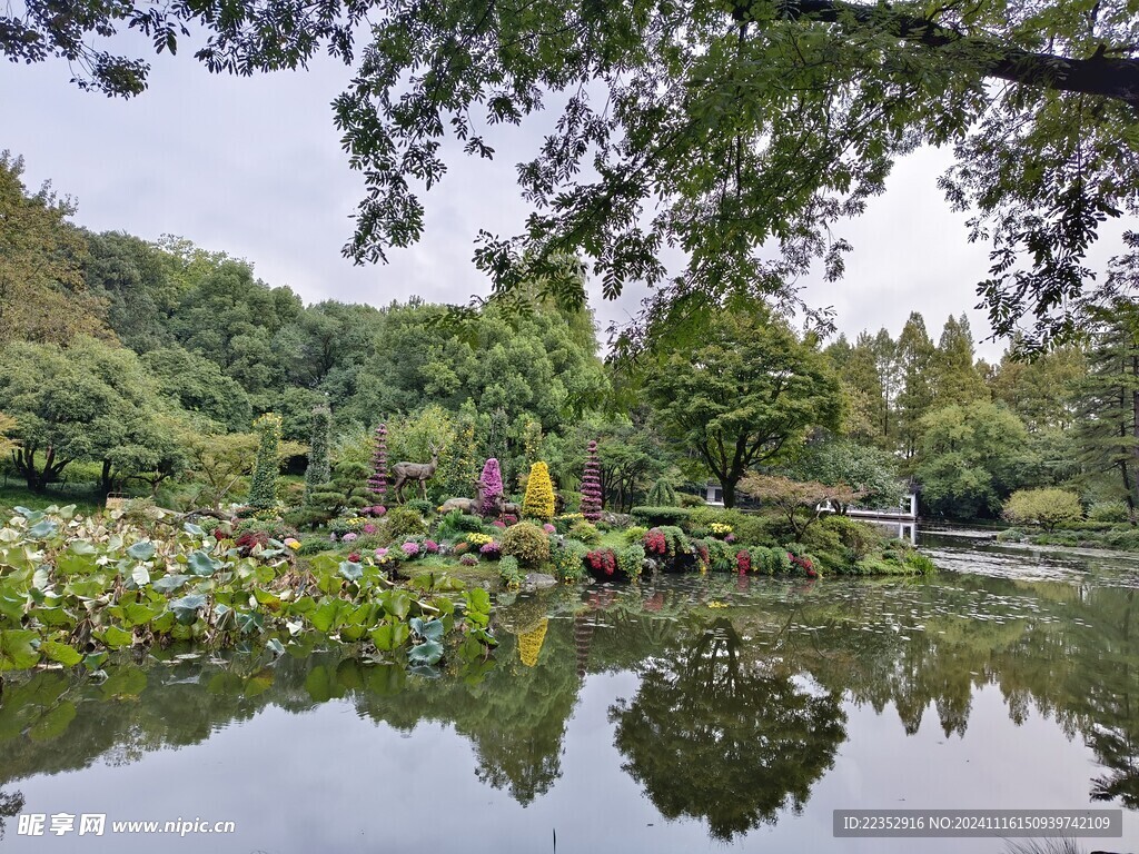 植物园