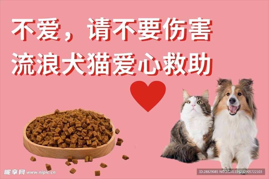 流浪犬猫爱心救助
