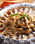 口蘑圣子
