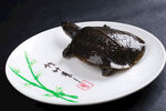卤水甲鱼