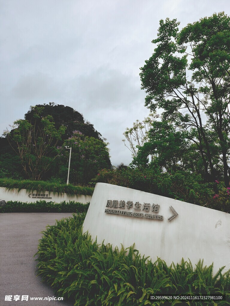 公园景色 