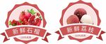 水果标签