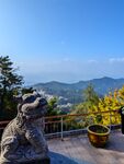 山顶寺庙石兽石刻