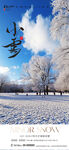 大雪节气海报