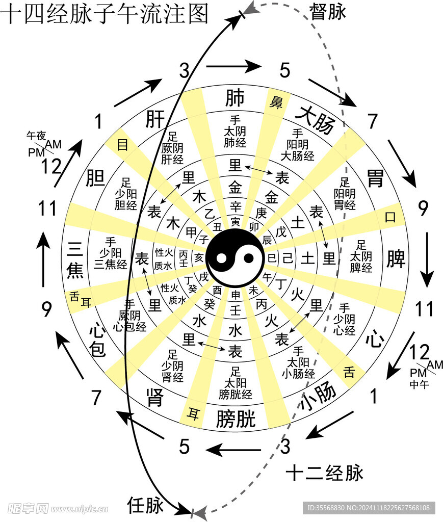 十二正经奇经八脉子午流注图