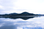 荔湖湿地