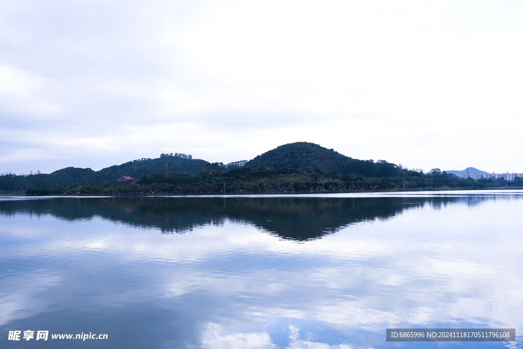 荔湖湿地