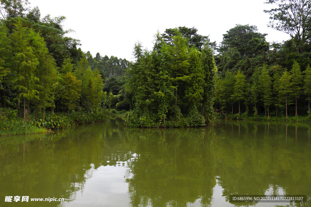 荔湖湿地