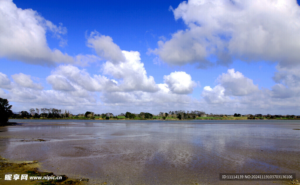 奥克兰海边风景