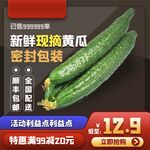 黄瓜主图