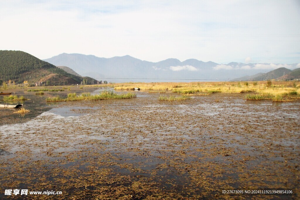 泸沽湖草海