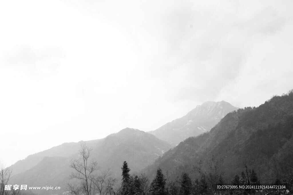 白鹿雪景