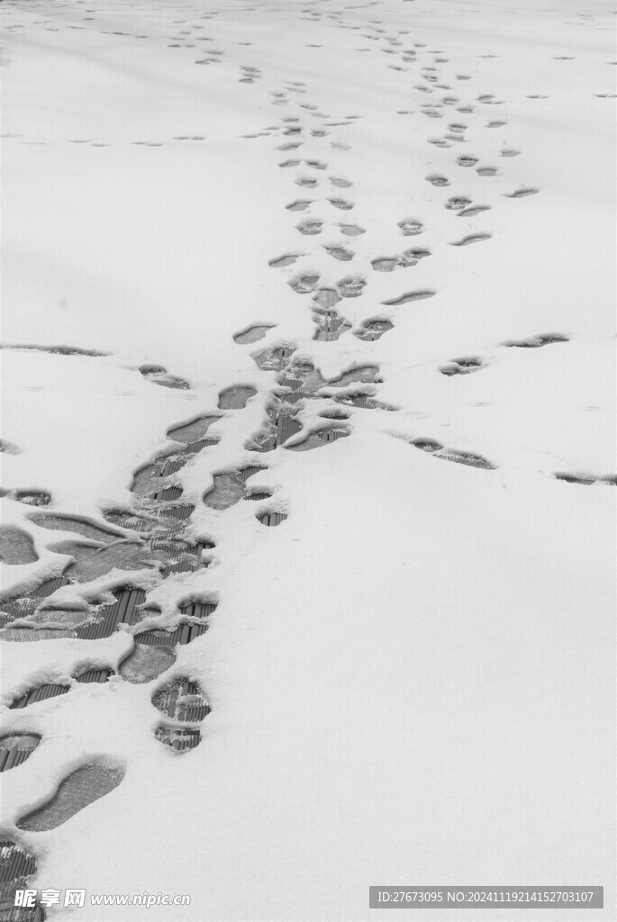 雪中行