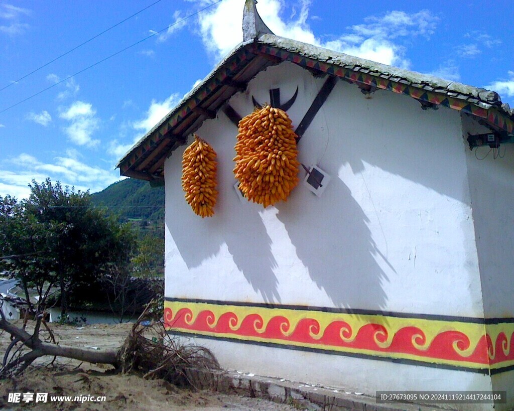 彝家