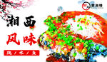 跳水鱼