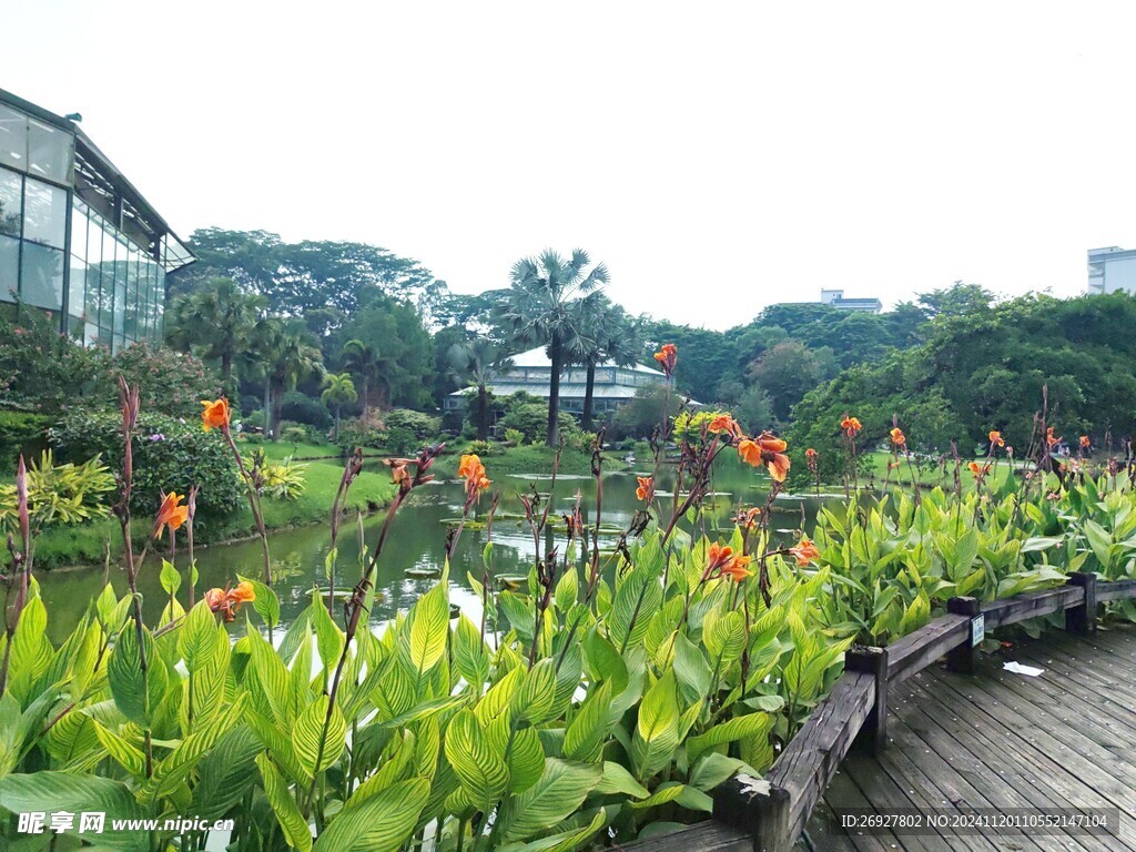 植物园