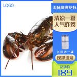 龙虾主图