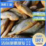 小黄鱼主图