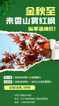 旅游海报