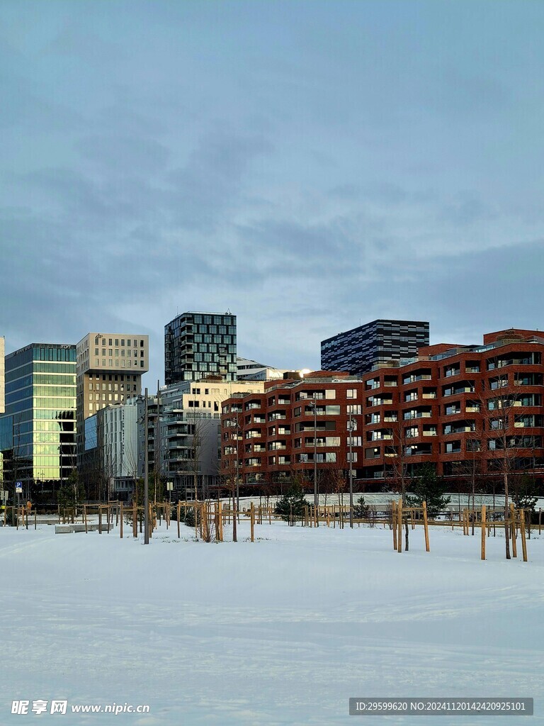 雪地
