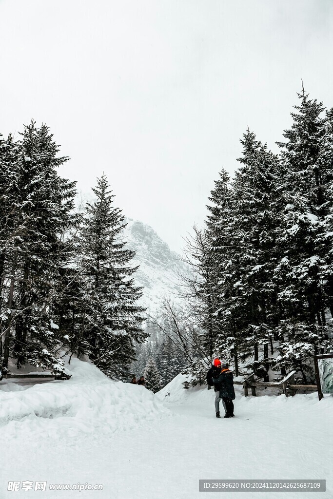 雪山  