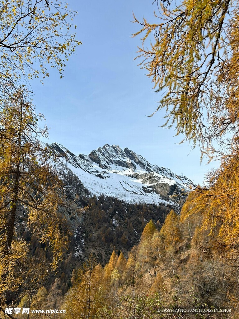 雪山 