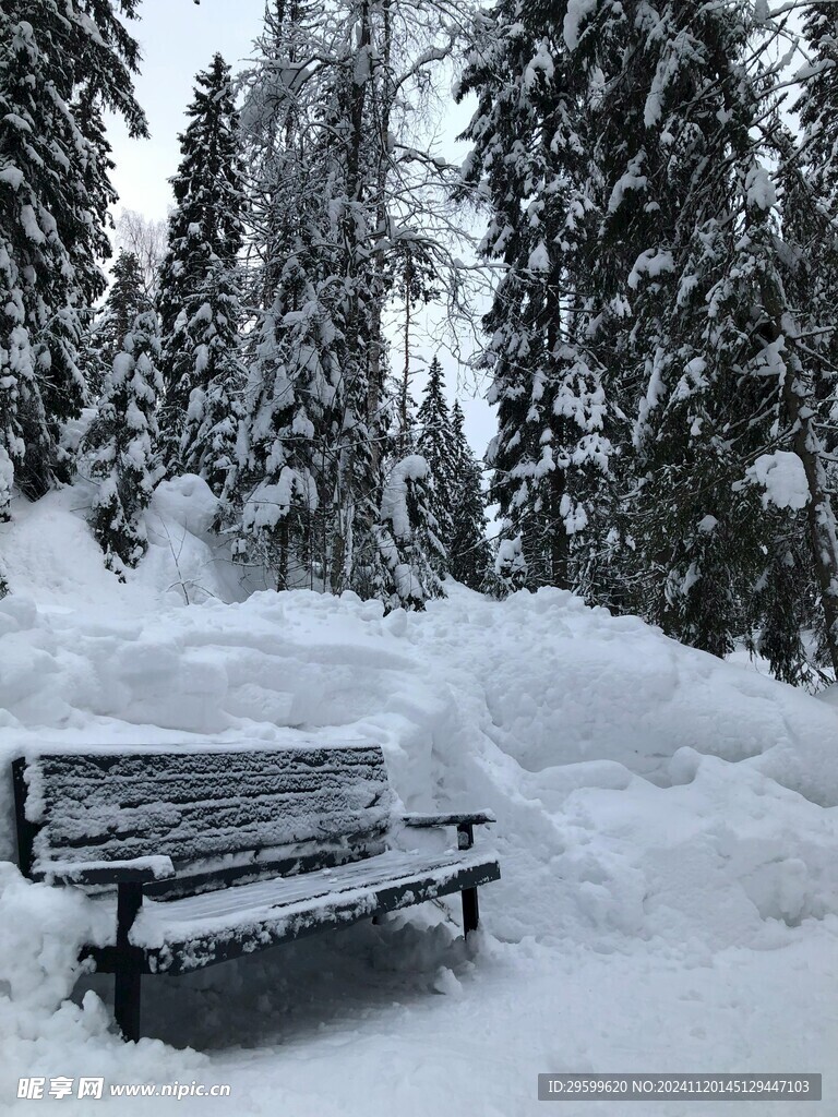 雪山 