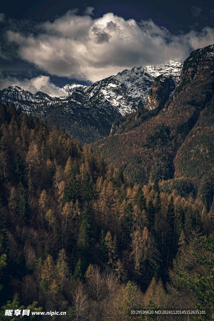 雪山  
