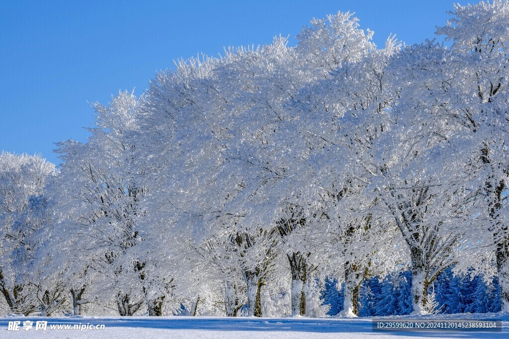 雪山  