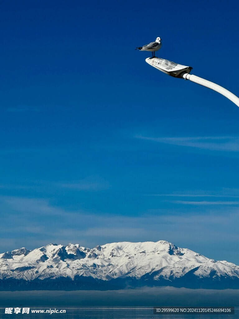 雪山 