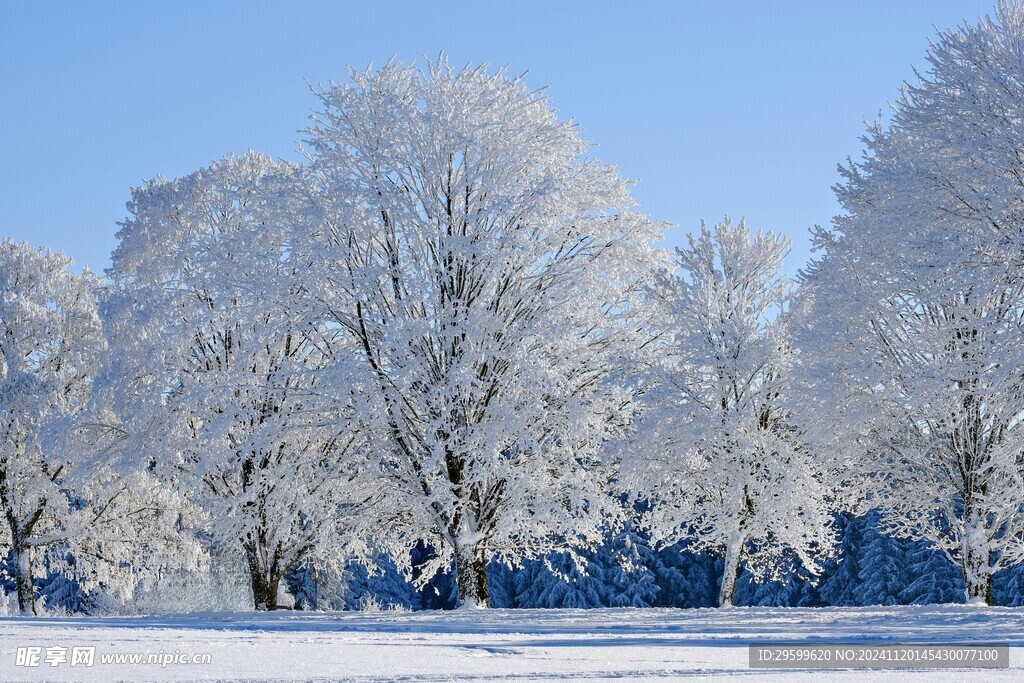 雪景 